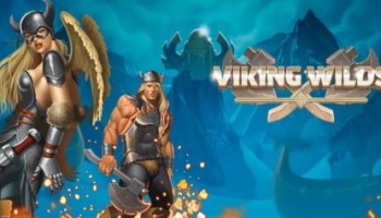 Viking Wild Slot - Rules and Gameplay