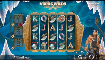 Viking Wild Slot Features - 1x2 Network